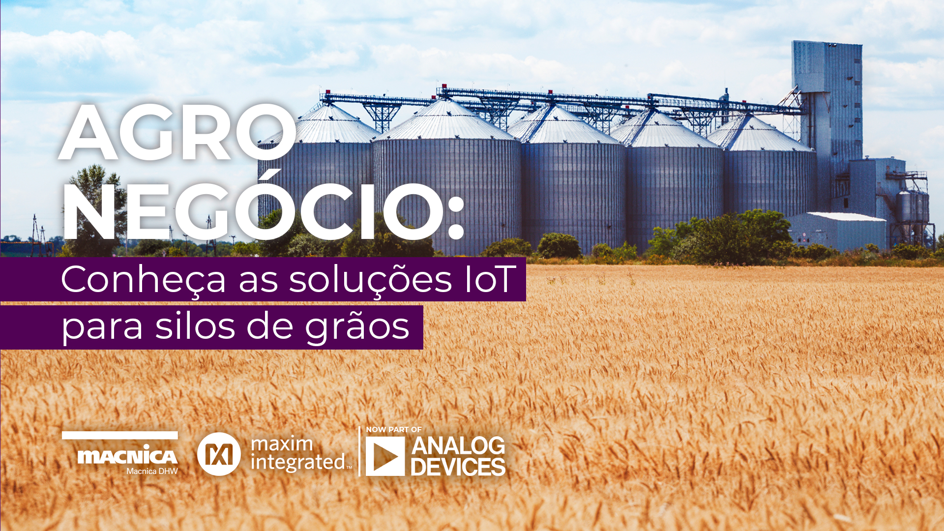Agronegócio conta com soluções IoT para silos de grãos