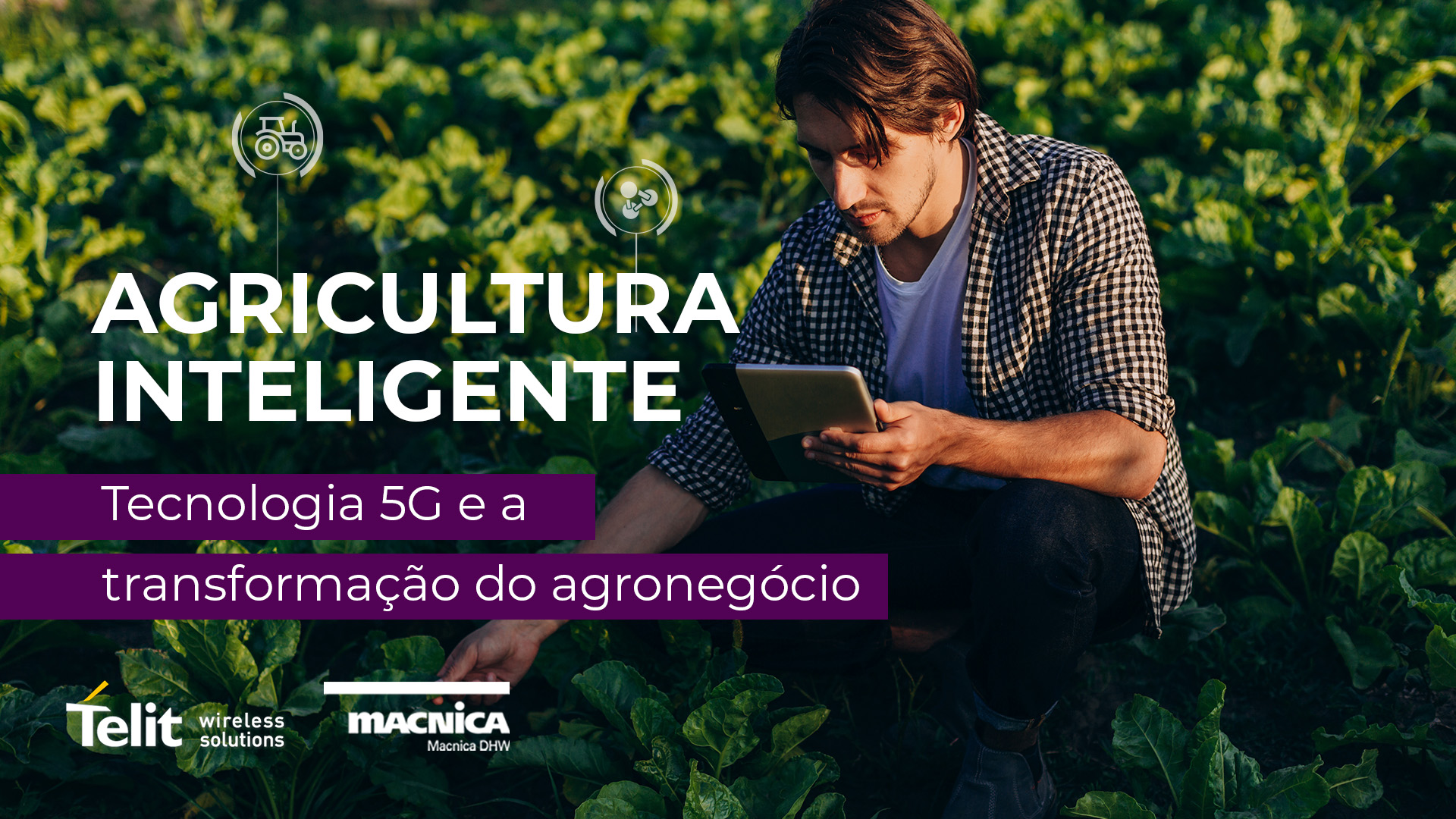 5G: Tecnologia para agricultura inteligente